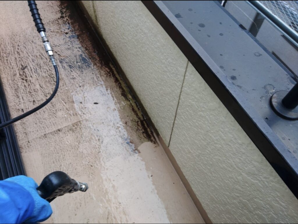 おはようございます！